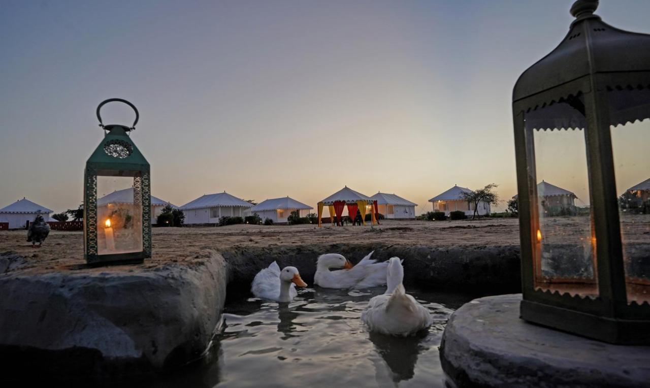 Treebo Desert Harmony Camp